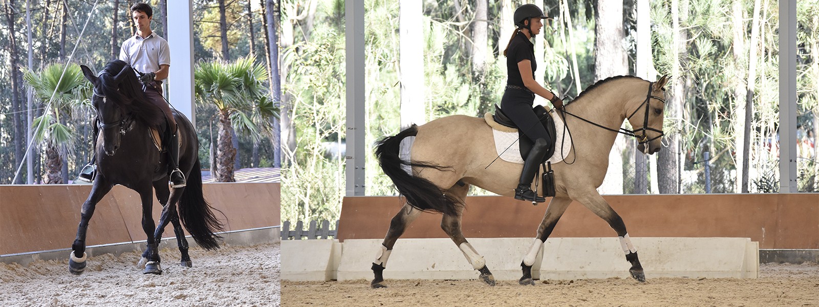 Intensive Training